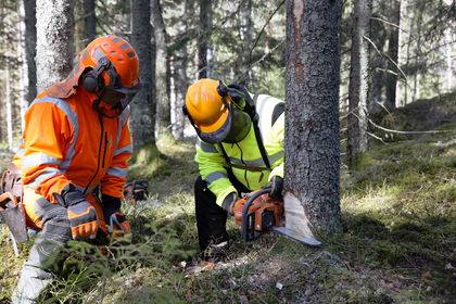 Motorsåg A+B kurs