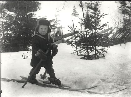 Föreläsning - Samerna som försvann