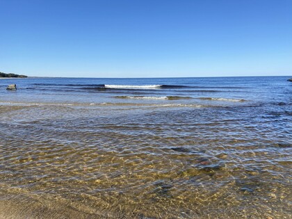 En klarblå himmel över ett lugnt hav med små vågor och grunt, klart vatten vid stranden.