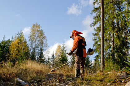 Röjsågskörkortet RA och RB - Intresseanmälan Dalsland