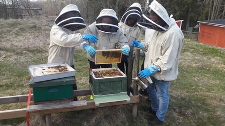 Biodling för nybörjare Lidköping.