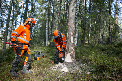 Motorsågskörkort A + B