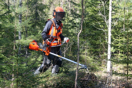 Röjsågskörkortet RA + RB Intresseanmälan