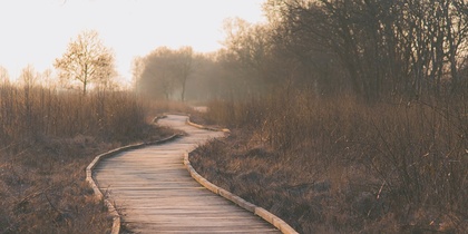 Bli mer du - Compassionfokuserad träning i grupp