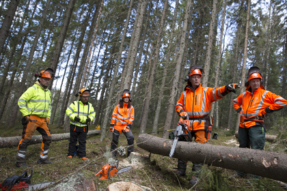 Motorsåg A+B Helgkurs